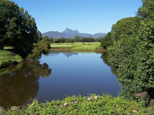View of Mt Warning, 2003