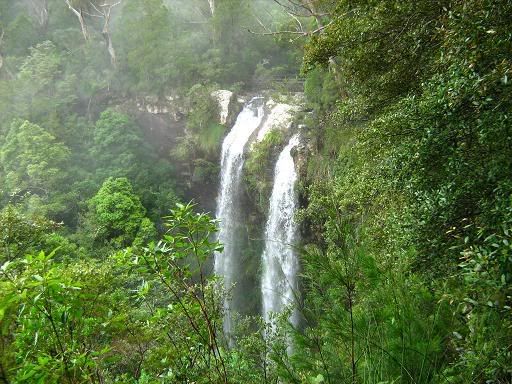 Twin Falls, Springbrook