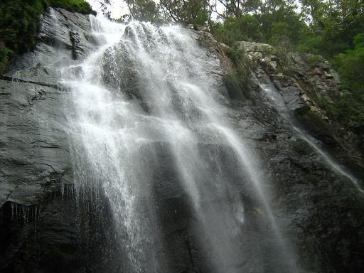 Blackfellow falls -- who'd imagine they'd get away with that name today?