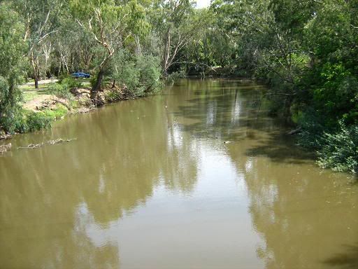 The river at Wangaratta