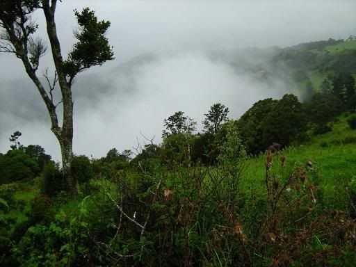 Clouds gathering around Beechmont