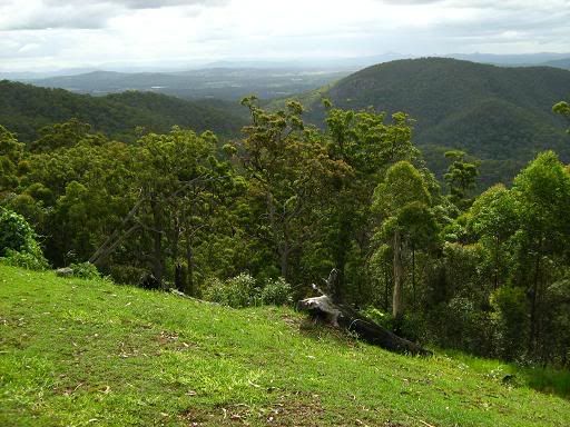 The view from Mt Tamborine