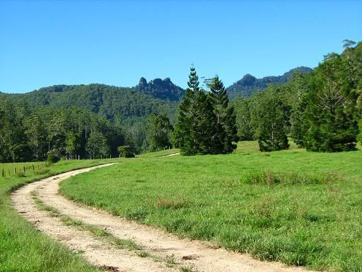 Mt Cougal road