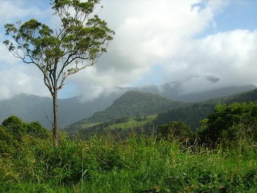 Clouds hovering around the Macpherson Ranges -- near Tyalgum