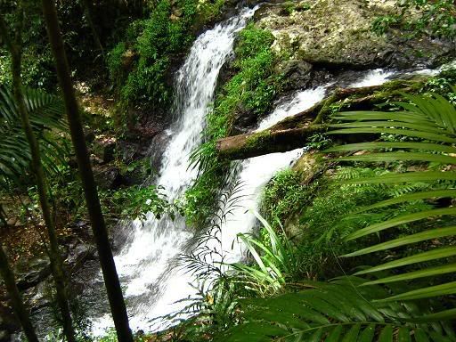 Waterfall at Lamington National park