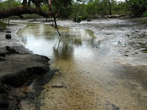 Fresh water springs near Dunwich