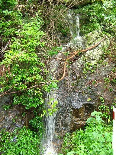 Roadside waterfall