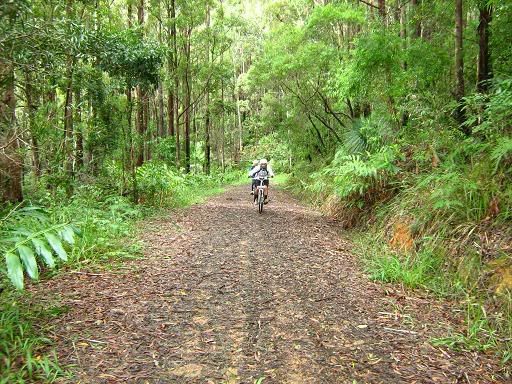 Dave climbing on Wabba Road