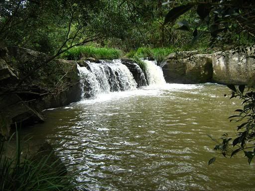 Tweed Valley waterfall