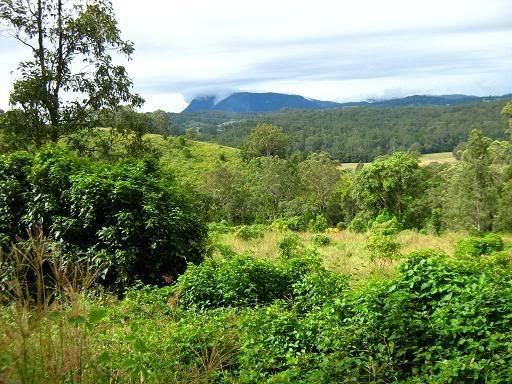 the view toward Mt Burrell