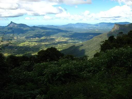 Tweed Valley Lookout, clearly showing the pinnacle attached