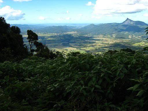 Mt Warning and the Tweed Valley from The Pinnacle