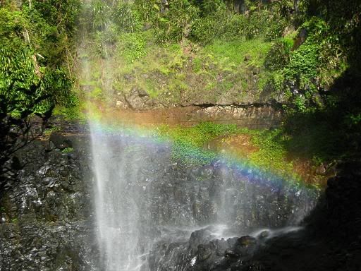 The bottom of Purling Brook Falls