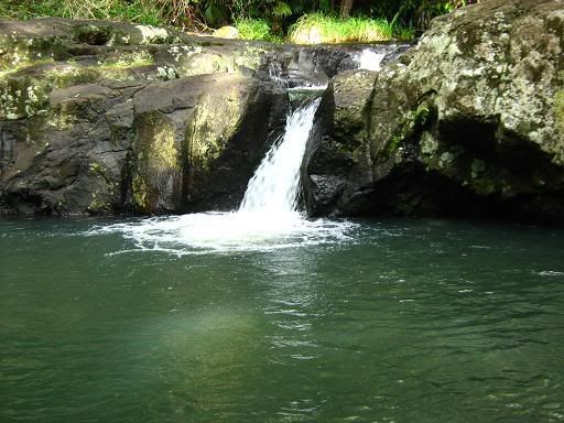 Warringa Pool