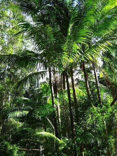 Mebbin National Park