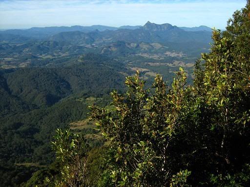 Best of all Lookout, Springbrook