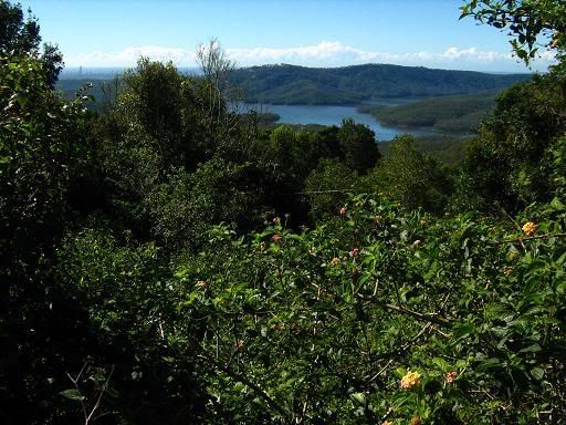 Hinze Dam from Lower Beechmont