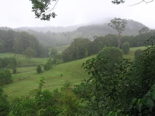 Tweed Valley greenery