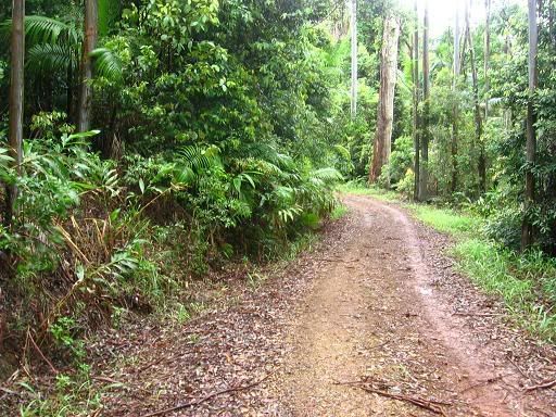 Wollumbin National Park