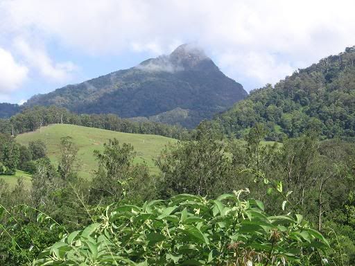 Mists clearing Mt Warning