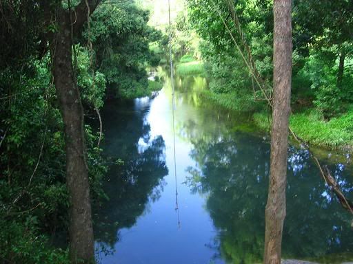 Tallebudgera Valley