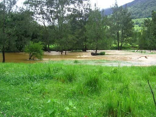 Flooding in Numinbah Valley