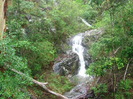 Another roadside watefall, this time at Springbrook