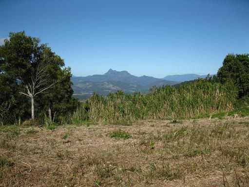 Mt Warning in the distance