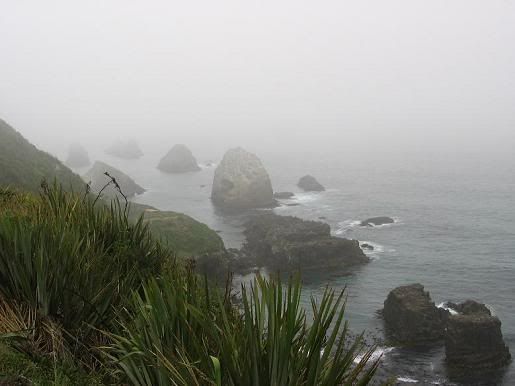 Nugget Point, New Zealand, 2006
