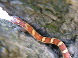 DSCF7873.gif