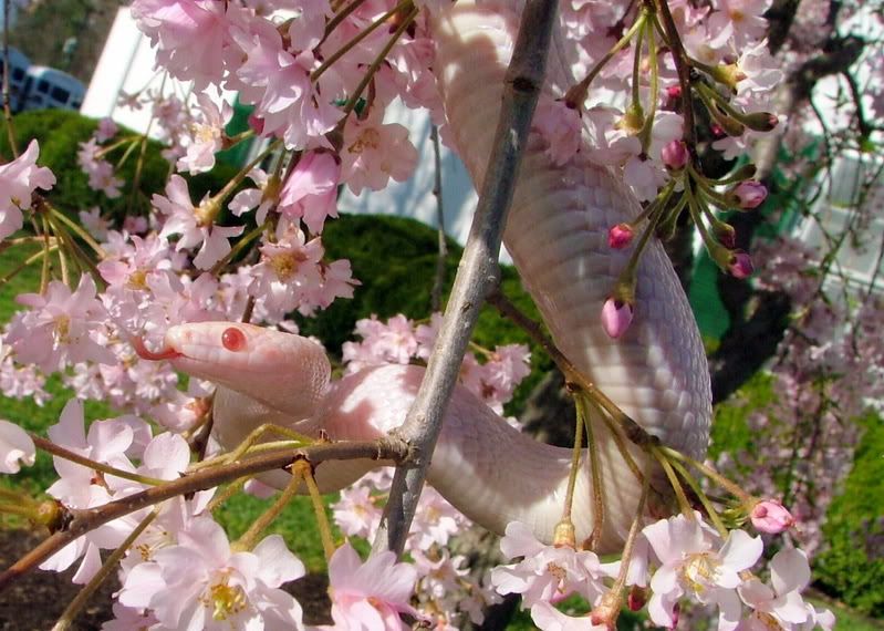 DSCF9388.jpg
