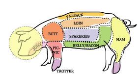 7b13fbe7.jpg