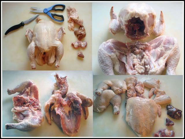 Chickenturkeycollage.jpg