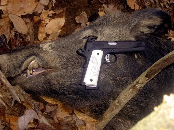boar45acp3.jpg