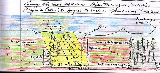 High Thrushgill Plantation