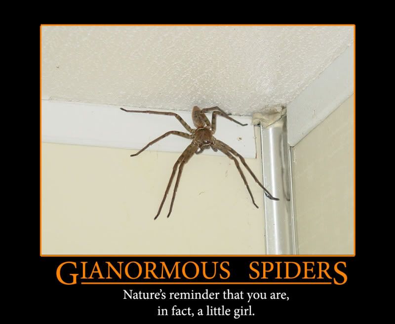 gianormous-spiders.jpg