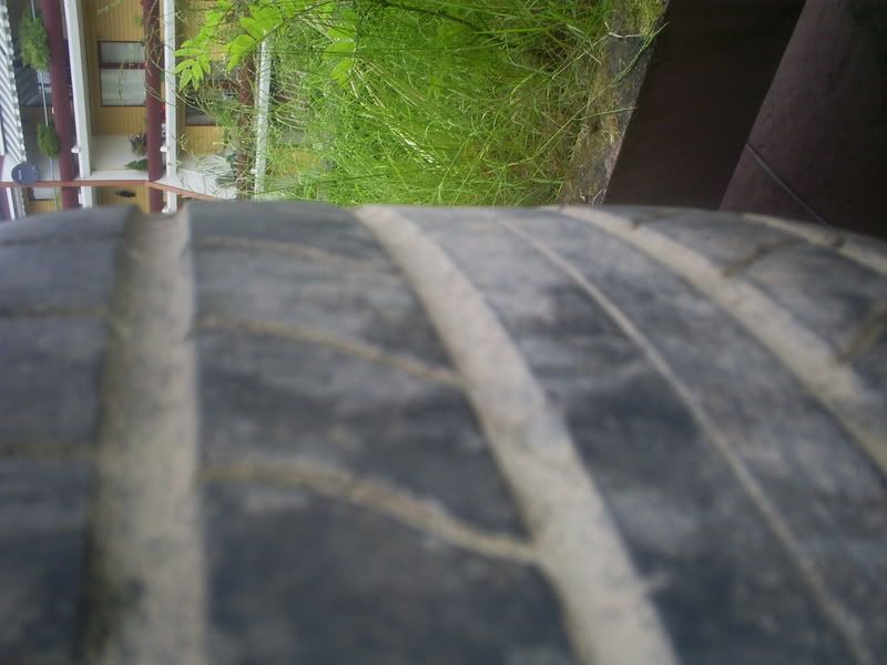 S5030001.jpg