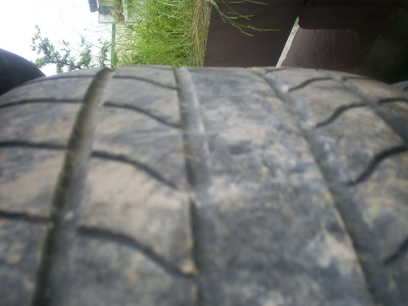 S5030002.jpg