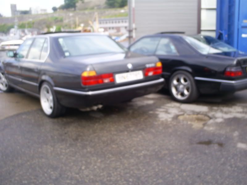 S5030499.jpg