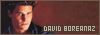 David Boreanaz