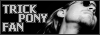 Trick Pony