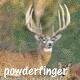 powderfinger Avatar