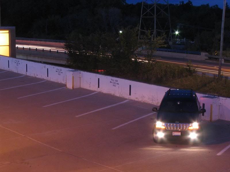 IMAGE: http://img.photobucket.com/albums/v380/wjmime/Bruiser/MiscPics018.jpg