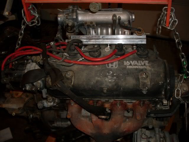 crx hf engine