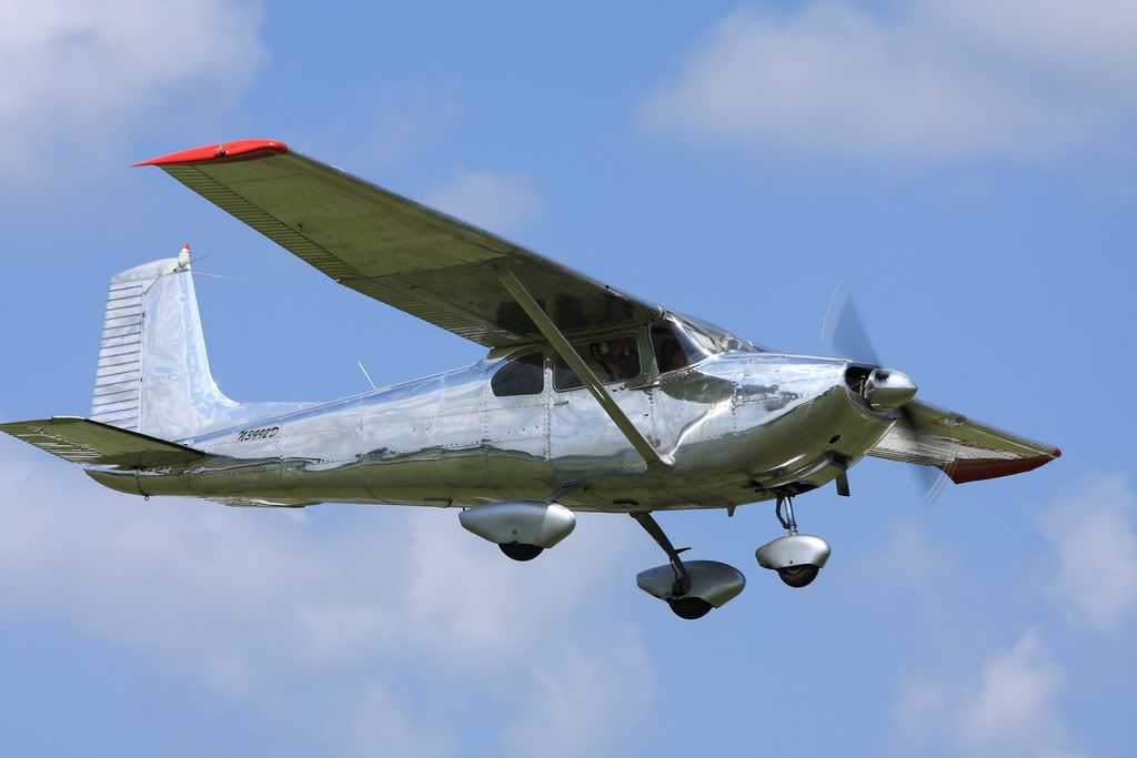 IMAGE: http://img.photobucket.com/albums/v381/JSkinner/bise/IMG_0461.jpg