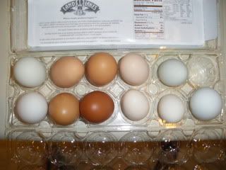 farm fresh eggs