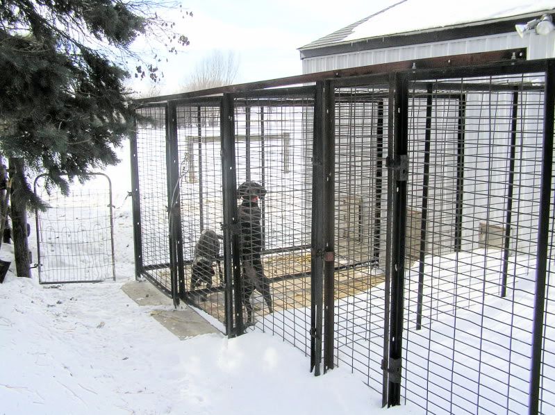 UKC Forums Wire corn crib= kennel panels?