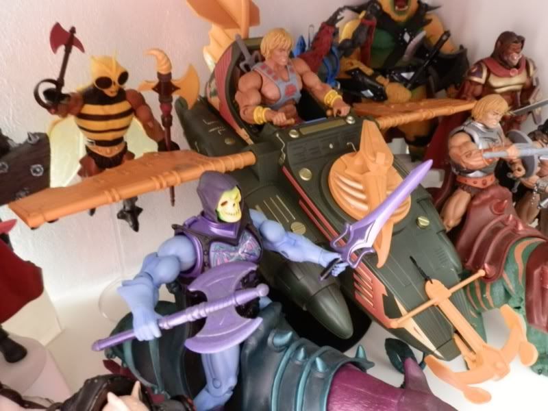 motuc collection