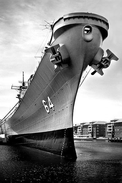 IMAGE: http://img.photobucket.com/albums/v382/redboys/WarBeauty4.jpg