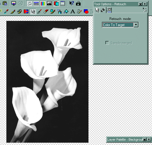 Tutorial Image